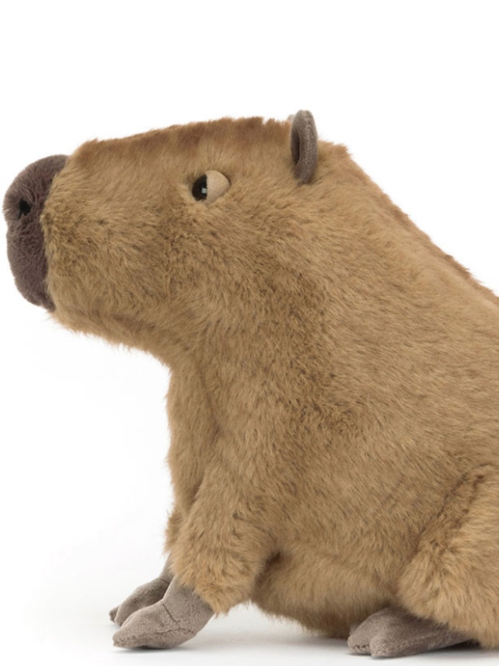 Clyde the Capybara